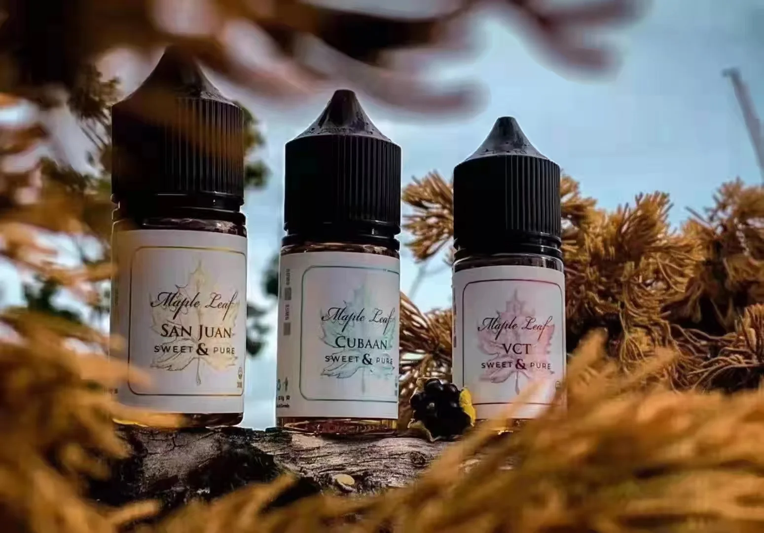 MAPLE LEAF【加拿大進口】楓葉煙油 30ML 高濃度尼古丁鹽（35mg/50mg）-1